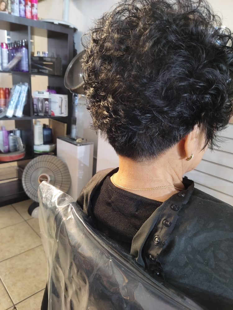 Salon styling showcase